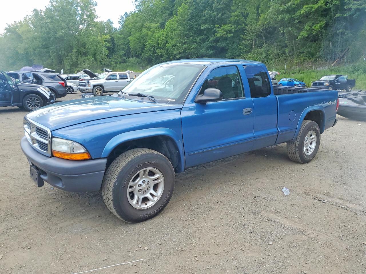 2004 Dodge Dakota, VIN 1D7HG12K24S584968 — Мелкие вмятины и царапины