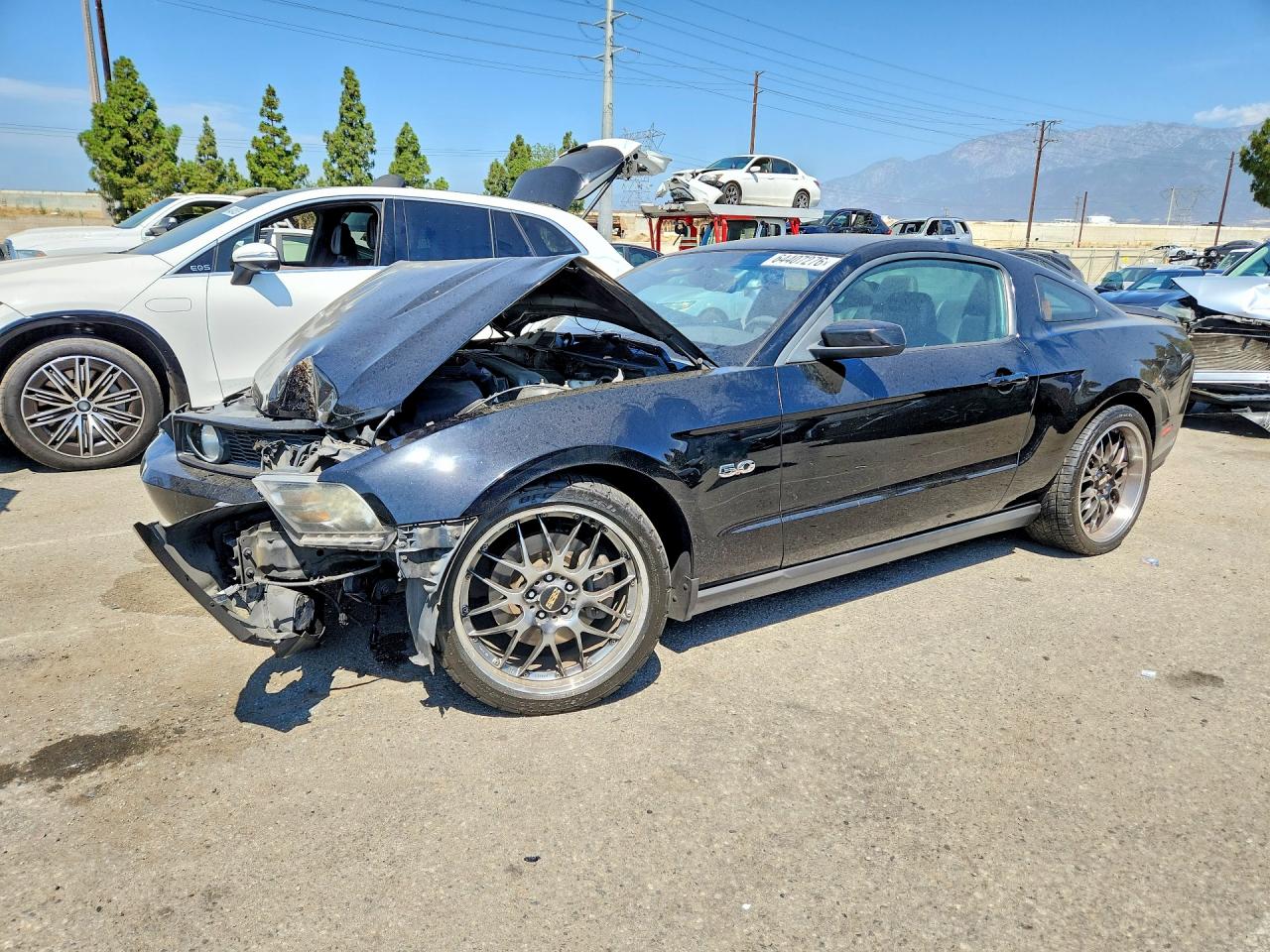 2011 Ford Mustang GT Premium, VIN 1ZVBP8CF0B5157565 — Перед