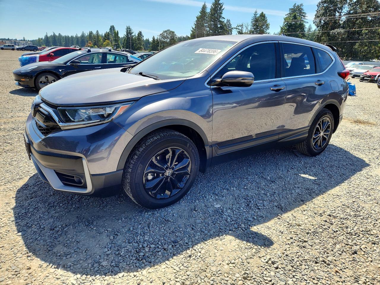2020 Honda CR-V EX, VIN 5J6RW2H52LA012130 — Rear end
