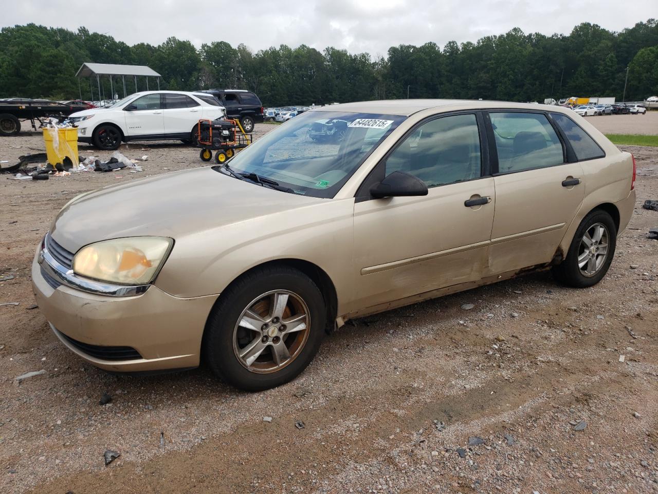 2005 Chevrolet Malibu Maxx LS, VIN 1G1ZT62895F251441 — Side