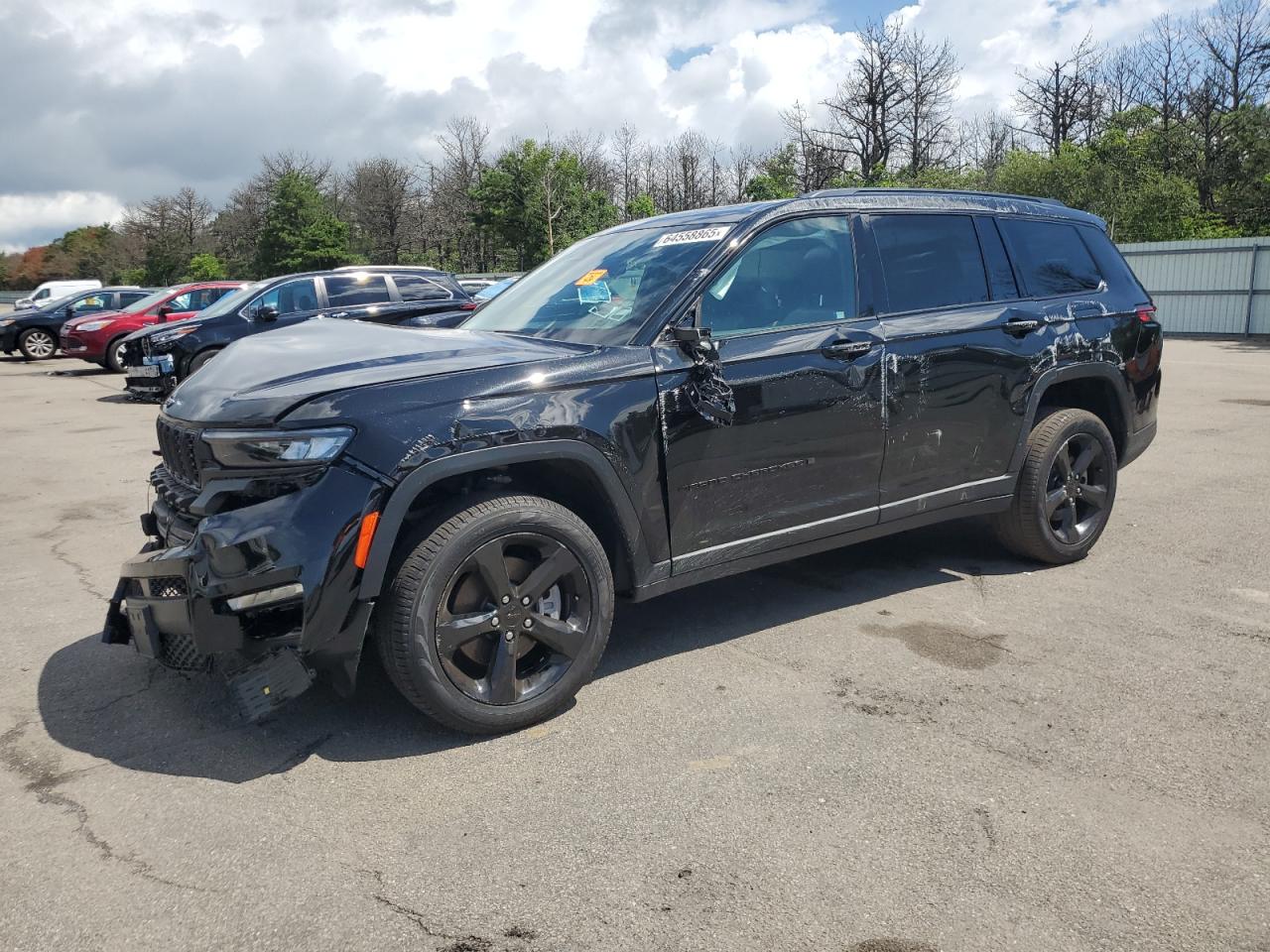 2025 Jeep Grand Cherokee Limited, VIN 1C4RJKBG8S8632954 — Biohazard / chemical