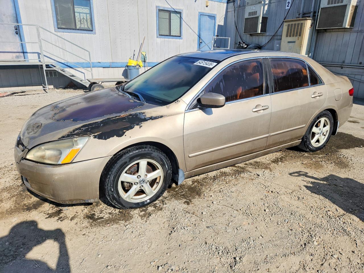 2005 Honda Accord EX-L, VIN JHMCM56895C006850 — Front end