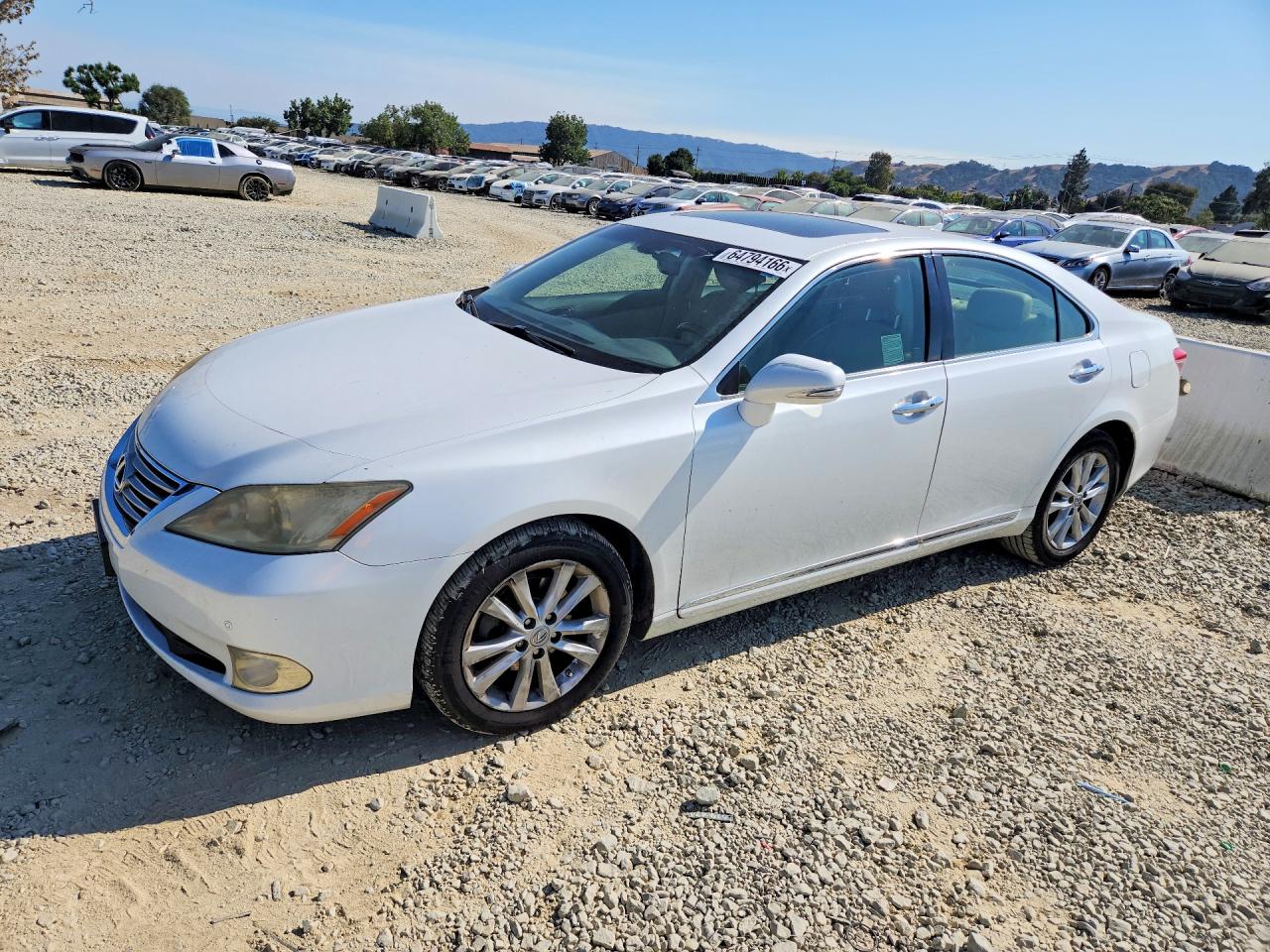 2010 Lexus ES 330, VIN JTHBK1EGXA2359858 — Side