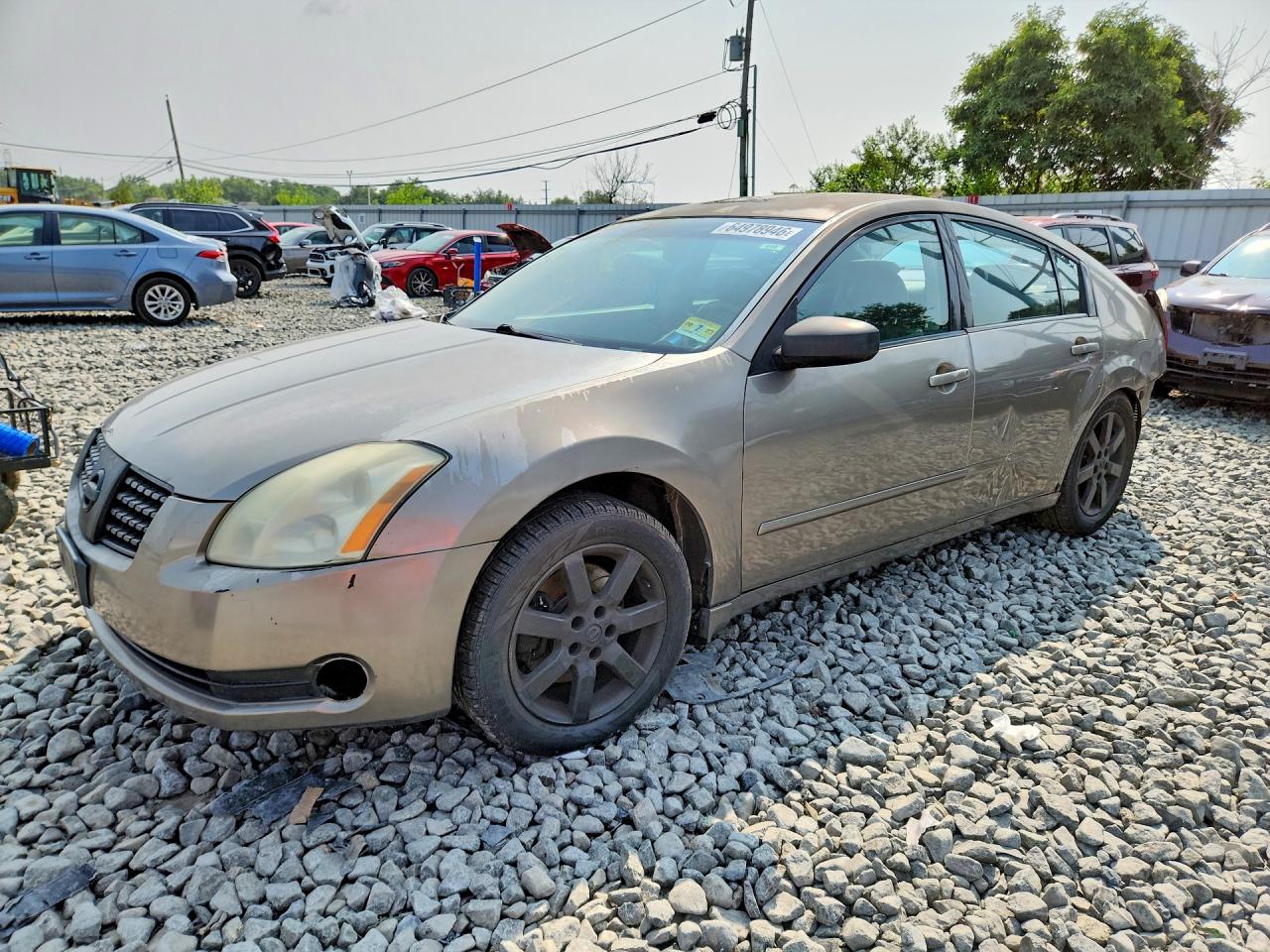 2004 Nissan Maxima SL, VIN 1N4BA41E74C833893 — Зад