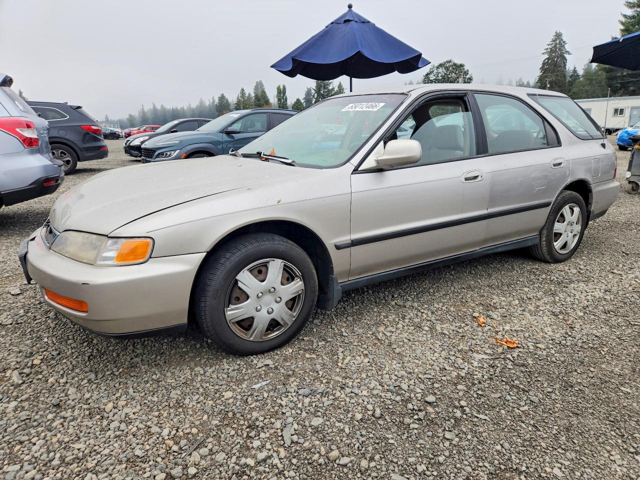 1997 Honda Accord LX, VIN 1HGCE1821VA000439 — Front end