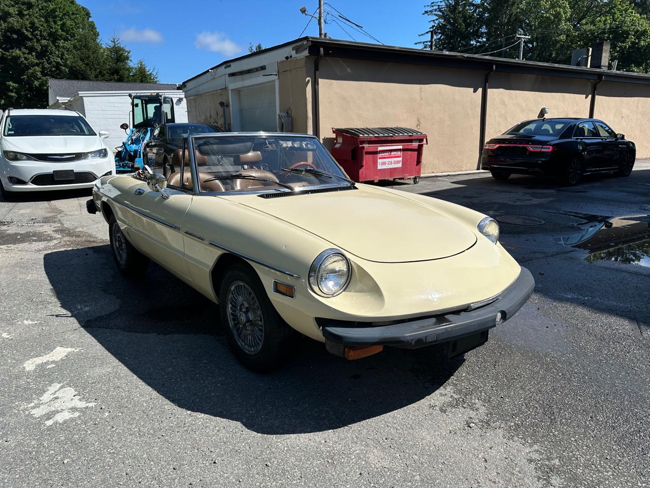 1982 Alfa Romeo Spider Veloce, VIN ZARBA5418C1015601 — Normal wear