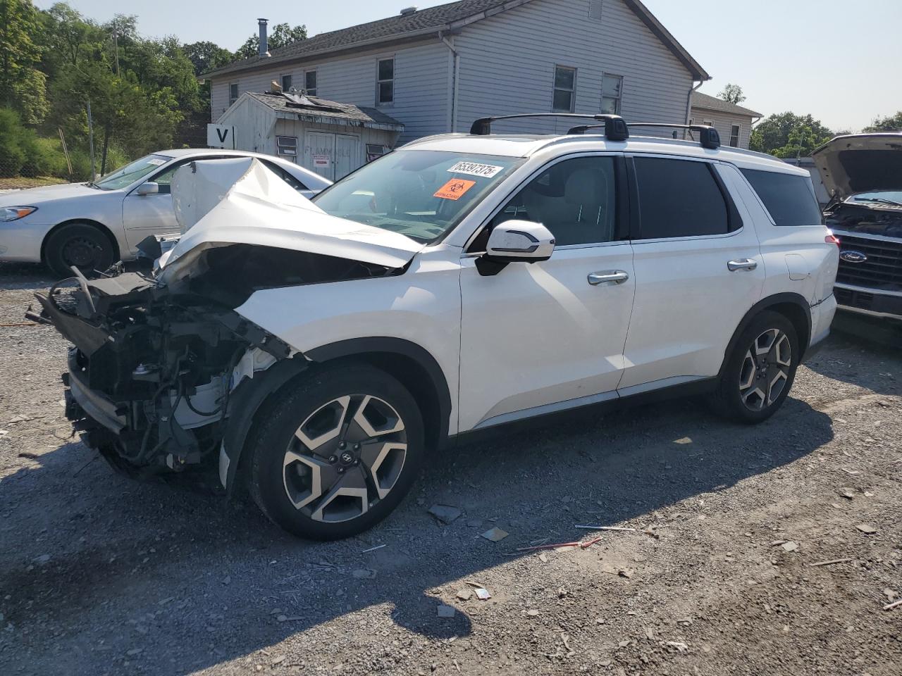 2023 Hyundai Palisade Limited, VIN KM8R5DGE2PU500502 — Biohazard / chemical