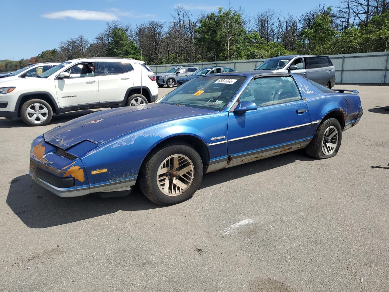 1986 Pontiac Firebird, VIN 1G2FS87H1GN246555 — Biohazard / chemical