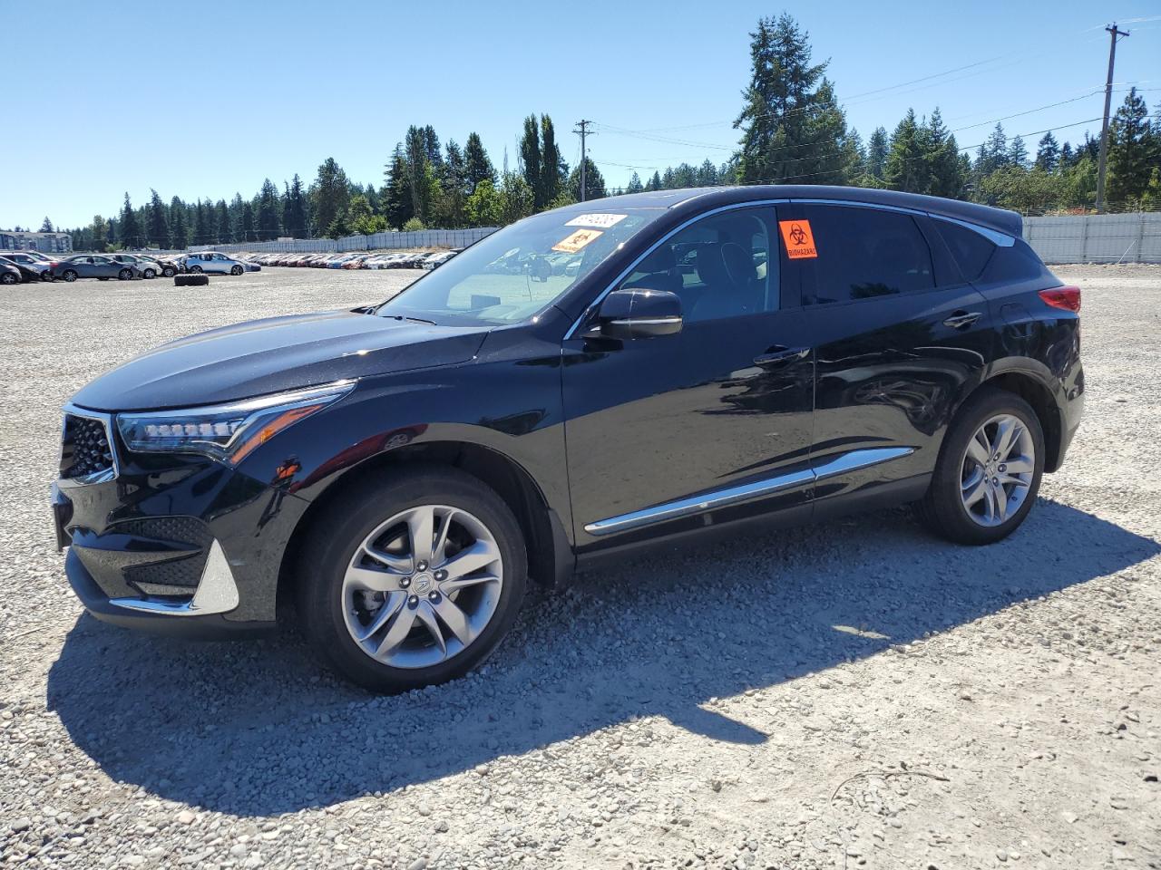 2019 Acura RDX Advance, VIN 5J8TC2H7XKL025993 — Biohazard / chemical