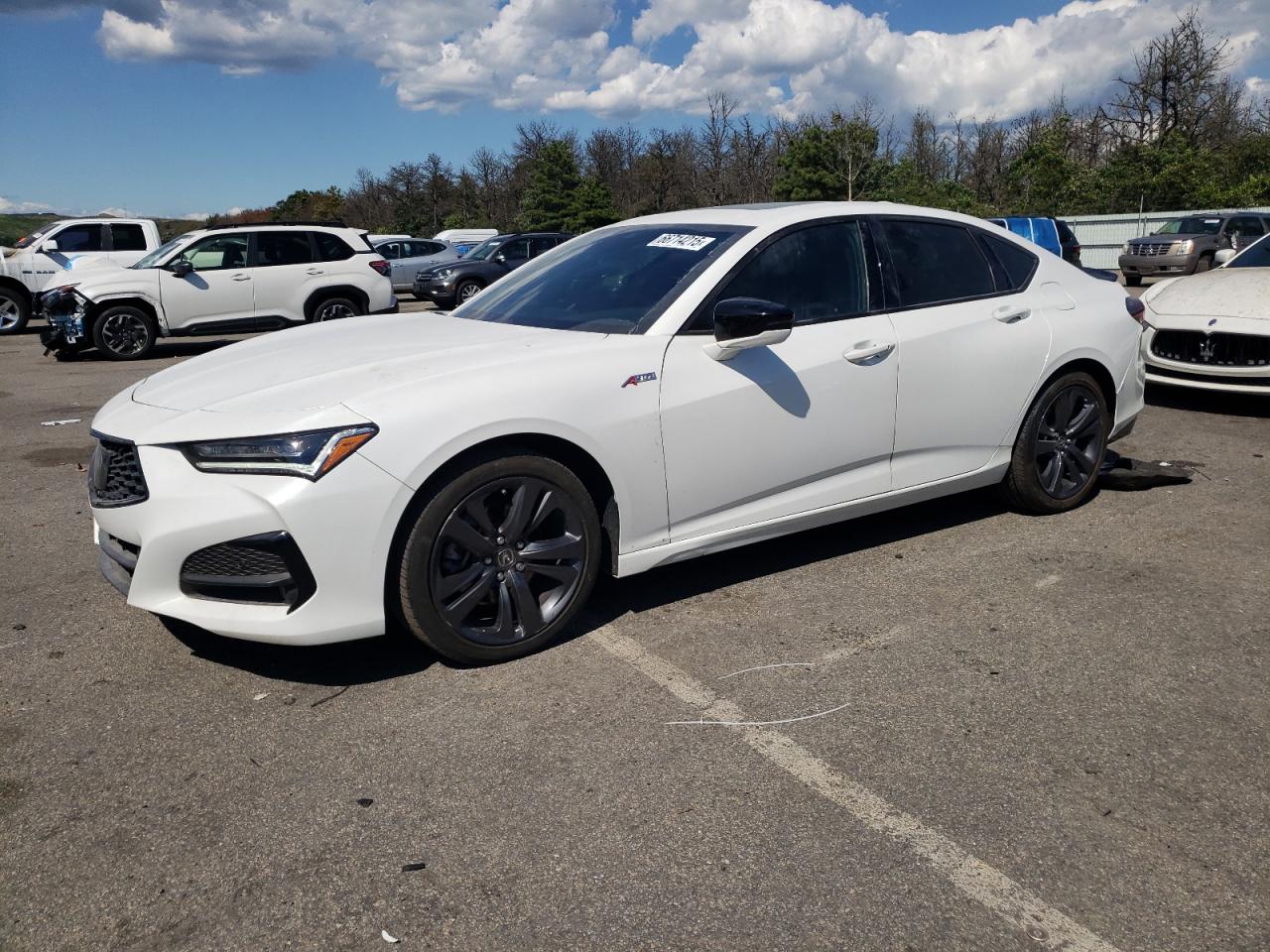 2022 Acura TLX w/A-Spec Package, VIN 19UUB5F55NA000087 — Missing or altered VIN