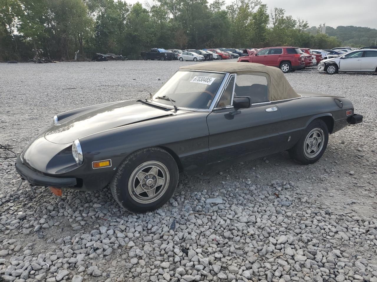 1982 Alfa Romeo Spider Veloce, VIN ZARBA5416C1014981 — Rear end