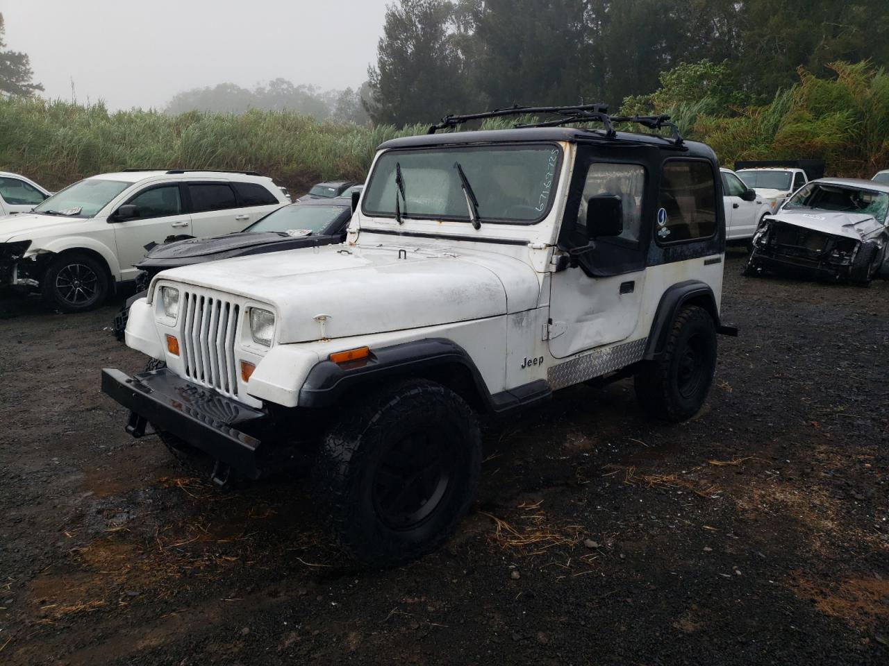 1989 Jeep Wrangler, VIN 2J4FY29T5KJ144320 — Rear end