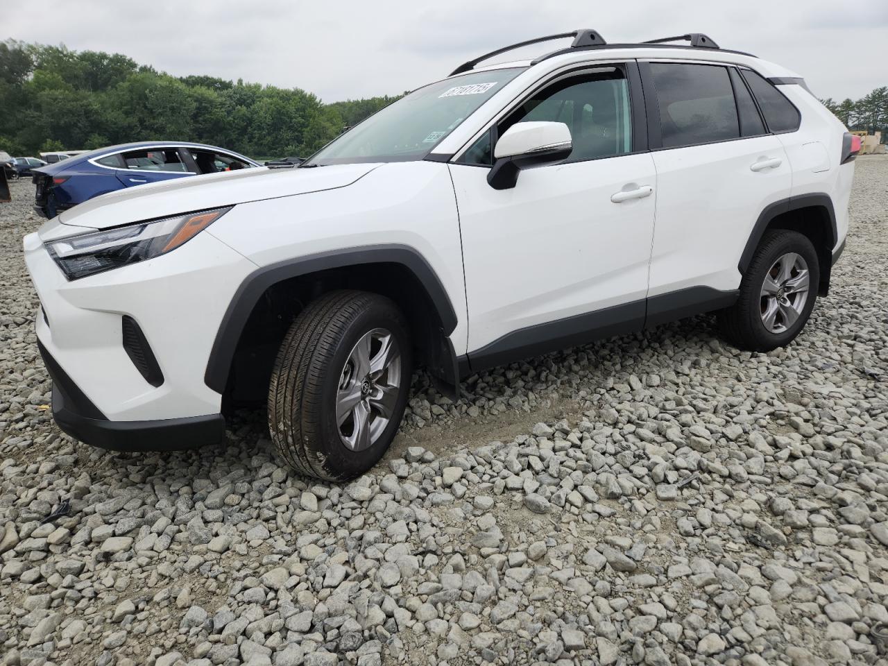 2025 Toyota RAV4 XLE, VIN 2T3P1RFVXSC498923 — Auction photo 1 of 14
