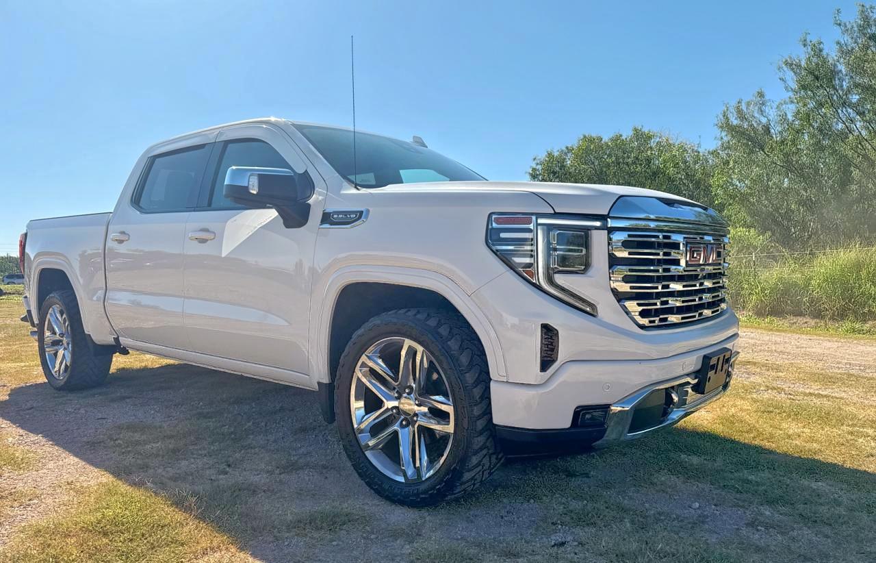 2022 GMC Sierra 1500 Elevation, VIN 3GTPHCED3NG548422 — Auction photo