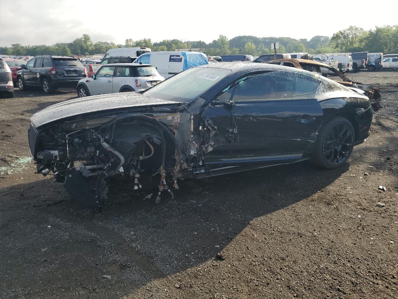 2024 Bentley Continental GT Mulliner, VIN SCBCT2ZG5RC013955 — По всему кузову