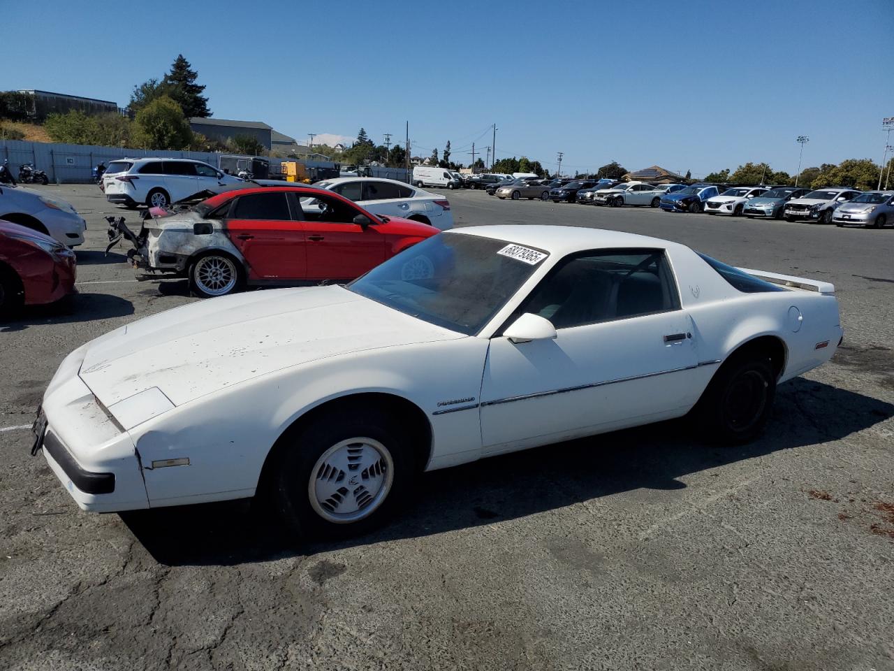 1985 Pontiac Firebird, VIN 1G2FS87S4FL617715 — All over
