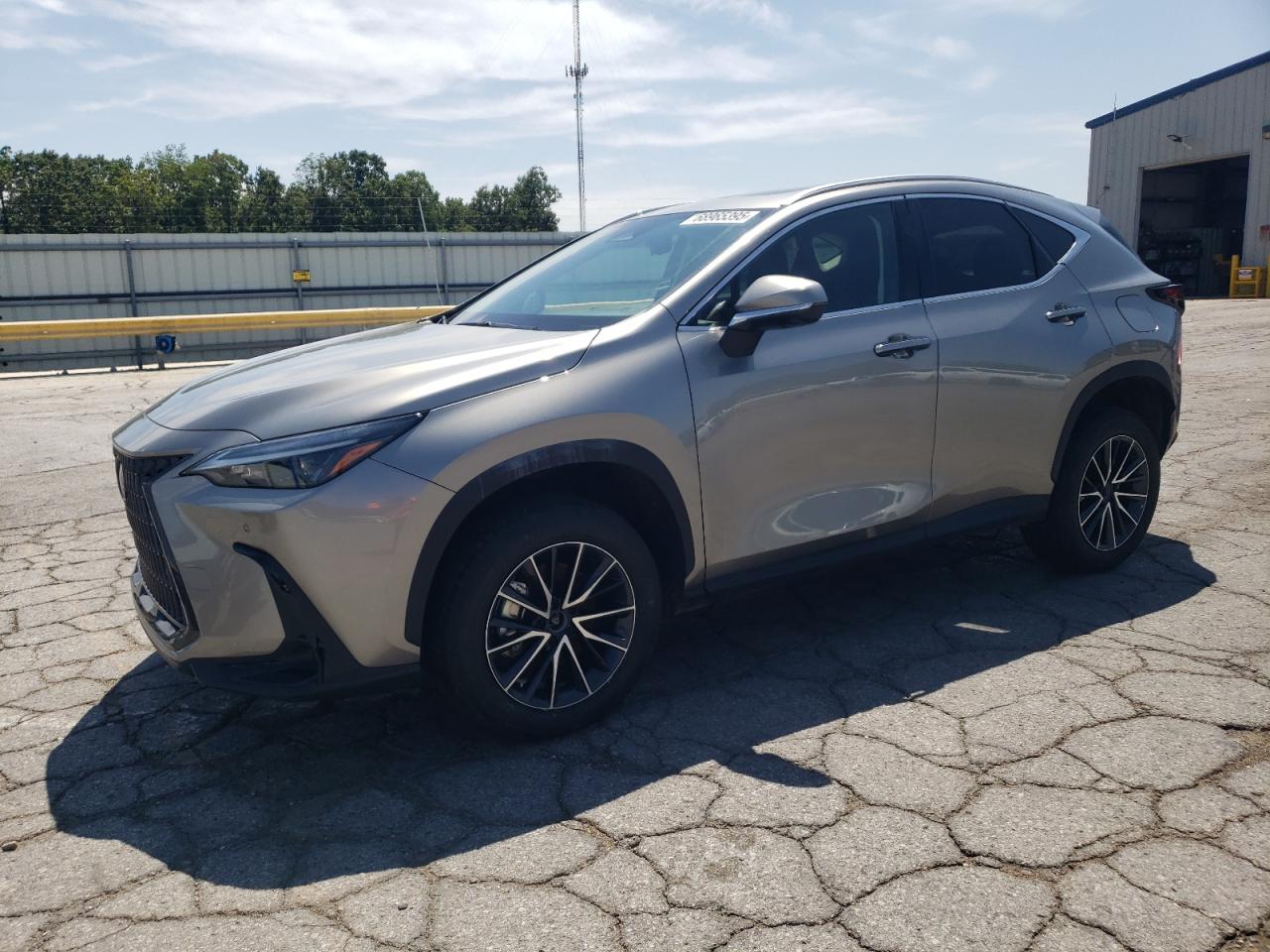 2024 Lexus NX 350 Premium, VIN 2T2GGCEZ6RC058129 — Vandalism
