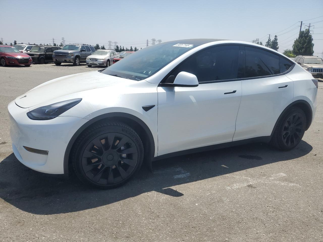 2021 Tesla Model Y Long Range, VIN 5YJYGDEE8MF095666 — Side