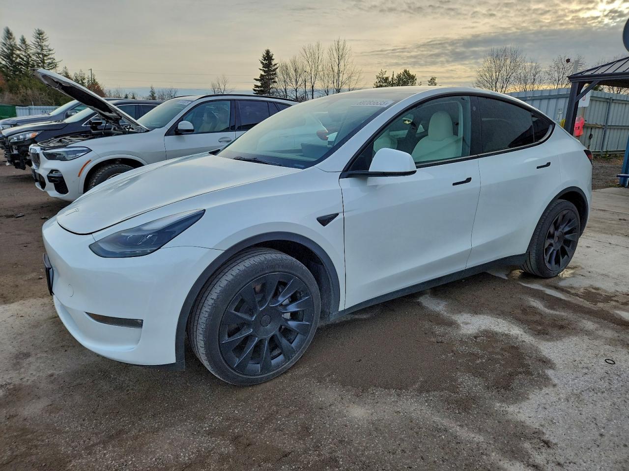 2023 Tesla Model Y Long Range, VIN 7SAYGDEE1PF709982 — Vandalism