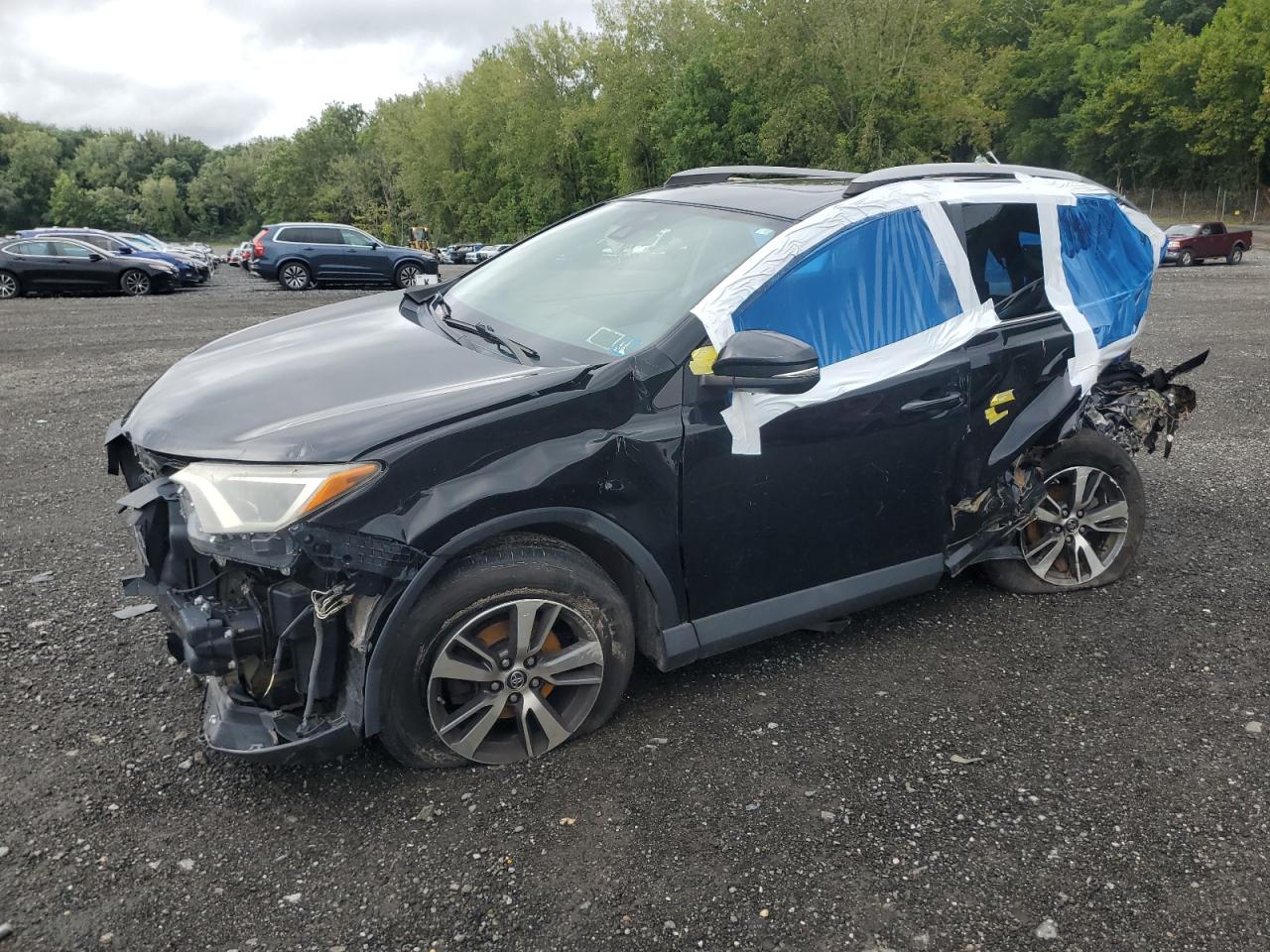 2017 Toyota RAV4 XLE, VIN 2T3RFREV4HW662427 — All over