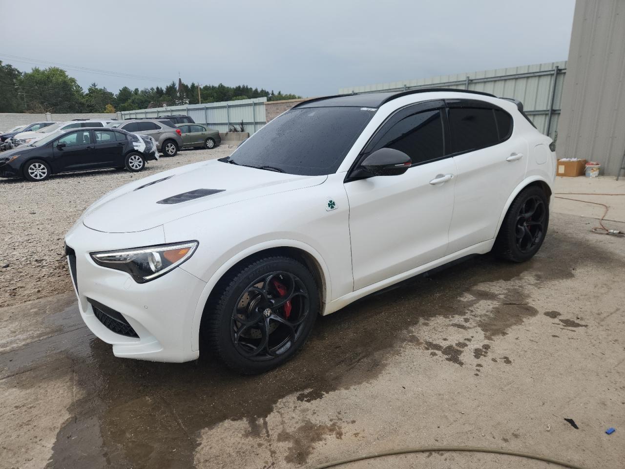 2020 Alfa Romeo Stelvio Quadrifoglio, VIN ZASPAKEV8L7C95458 — Water / flood