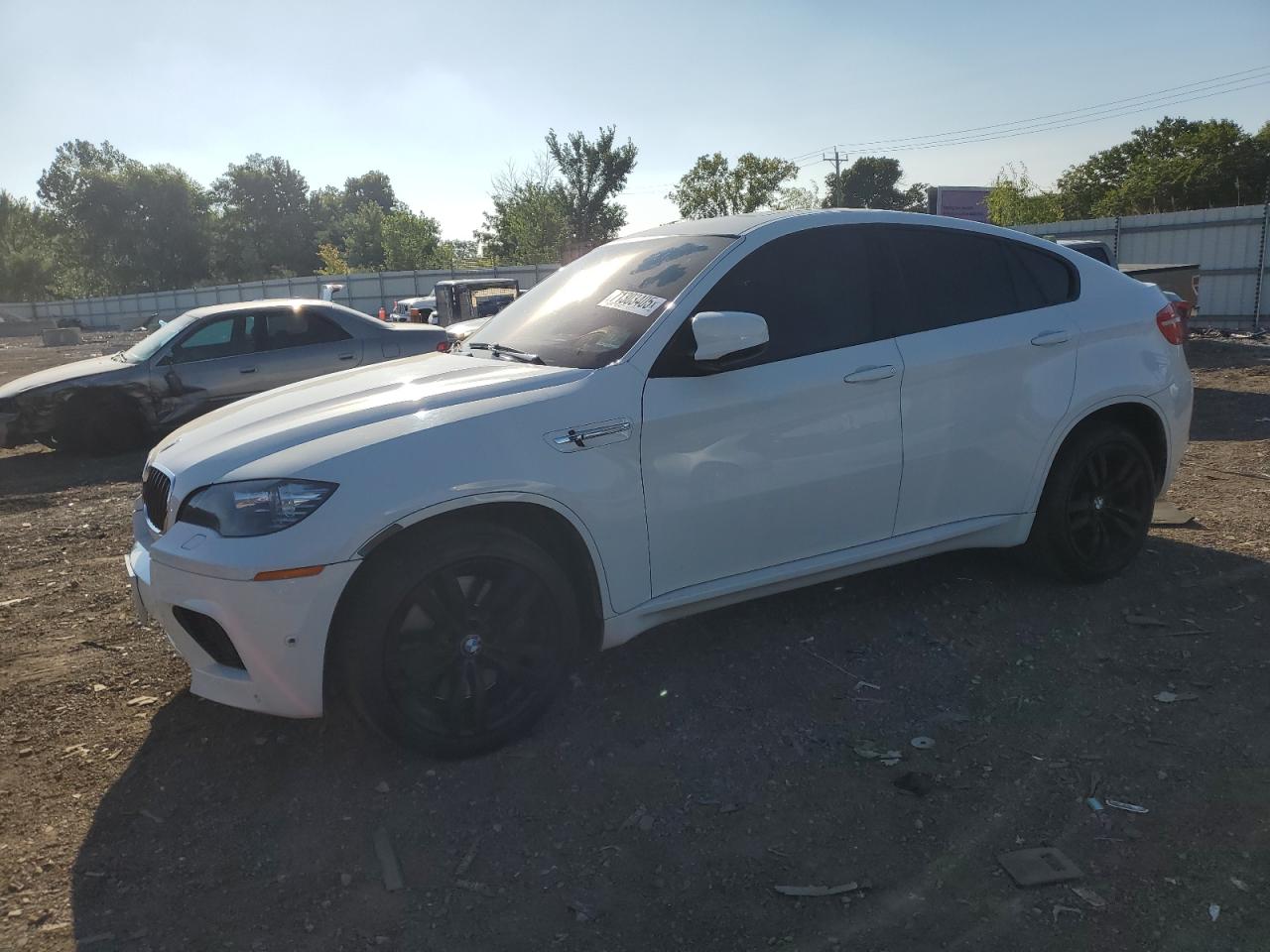 2012 BMW X6 M, VIN 5YMGZ0C54CLK14477 — Side