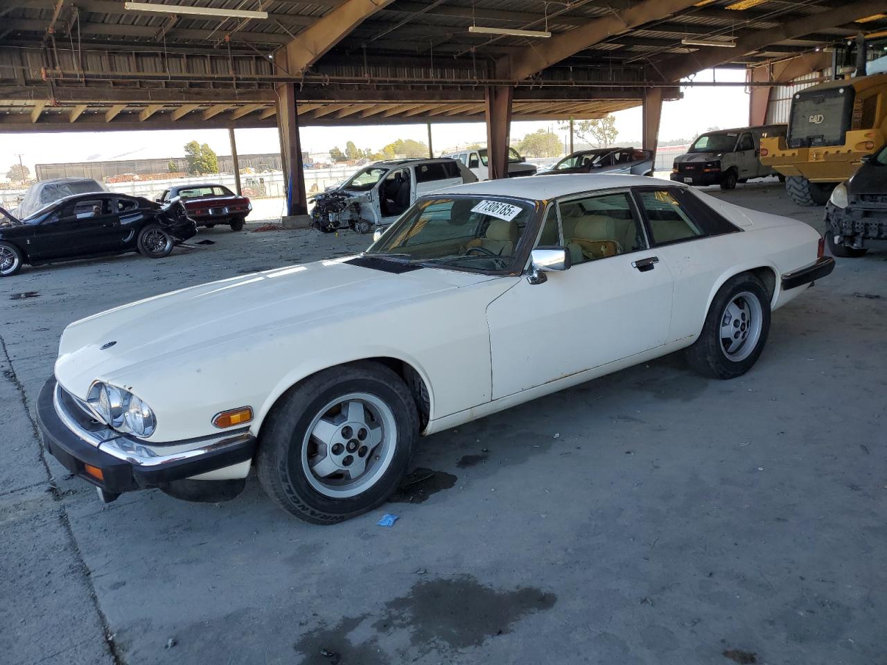1984 Jaguar XJ, VIN SAJNV5845EC113297 — Мелкие вмятины и царапины