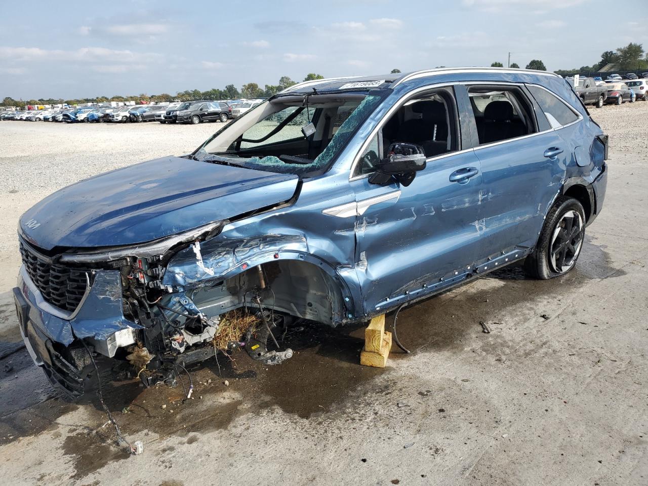 2025 Kia Sorento EX, VIN KNDRHDJG8S5324659 — All over
