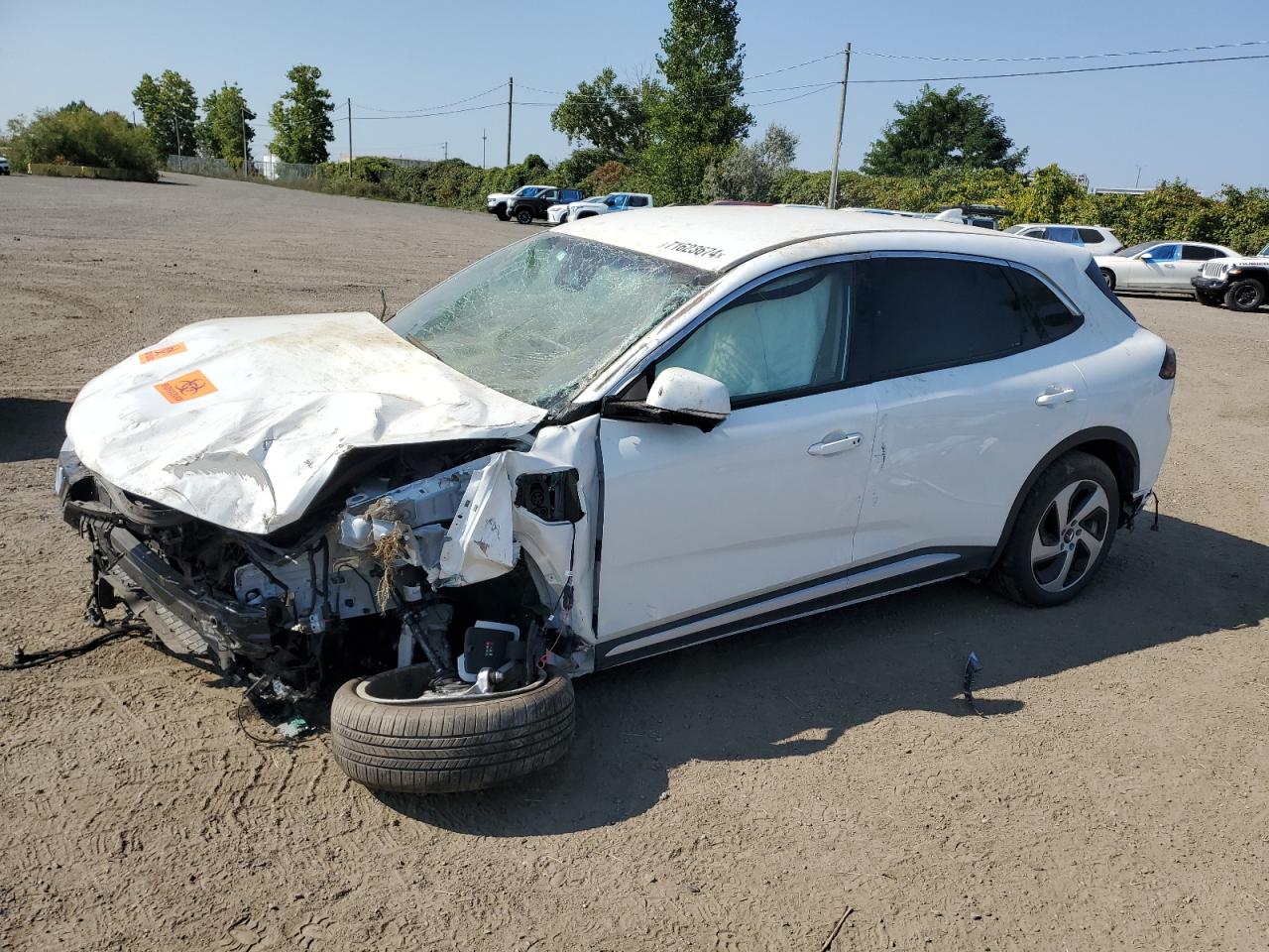 2024 VinFast VF 8 Eco, VIN RLLV1AEB5RH005489 — All over