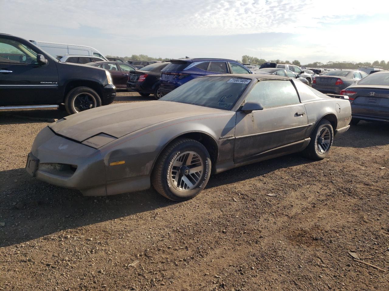 1991 Pontiac Firebird, VIN 1G2FS23E6ML219061 — Side