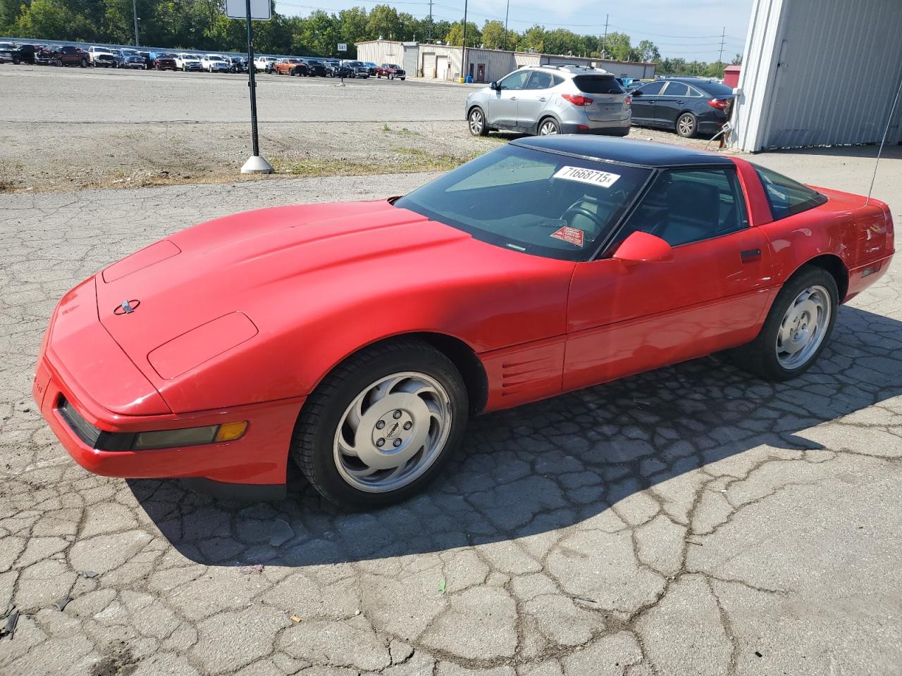1993 Chevrolet Corvette, VIN 1G1YY23P8P5111515 — Minor dents and scratches