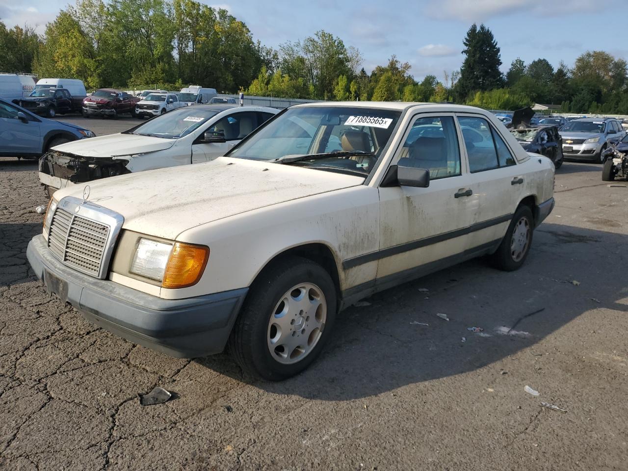 1987 Mercedes-Benz 260, VIN WDBEA26D0HA493658 — Mechanical
