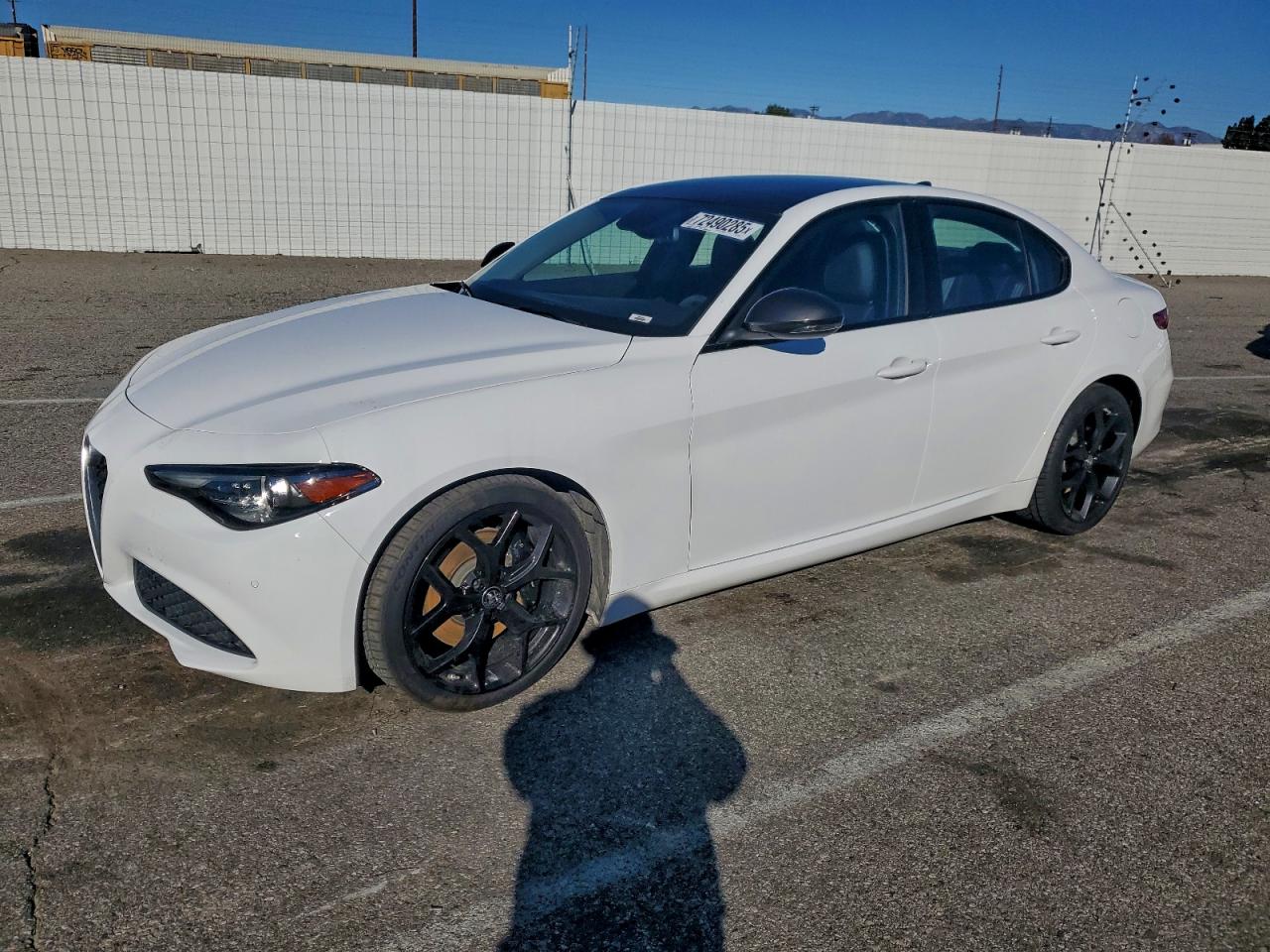 2019 Alfa Romeo Giulia, VIN ZARFAMAN8K7622094 — Вода / потоп