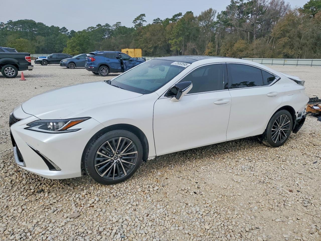 2025 Lexus ES 350, VIN 58ADZ1B14SU205615 — Rear end