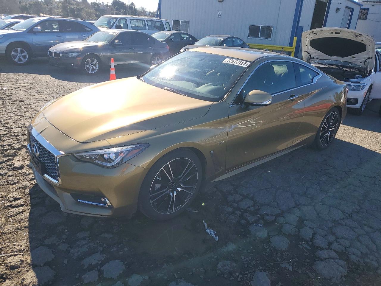 2018 Infiniti Q60 Luxe, VIN JN1EV7EK7JM342813 — Water / flood