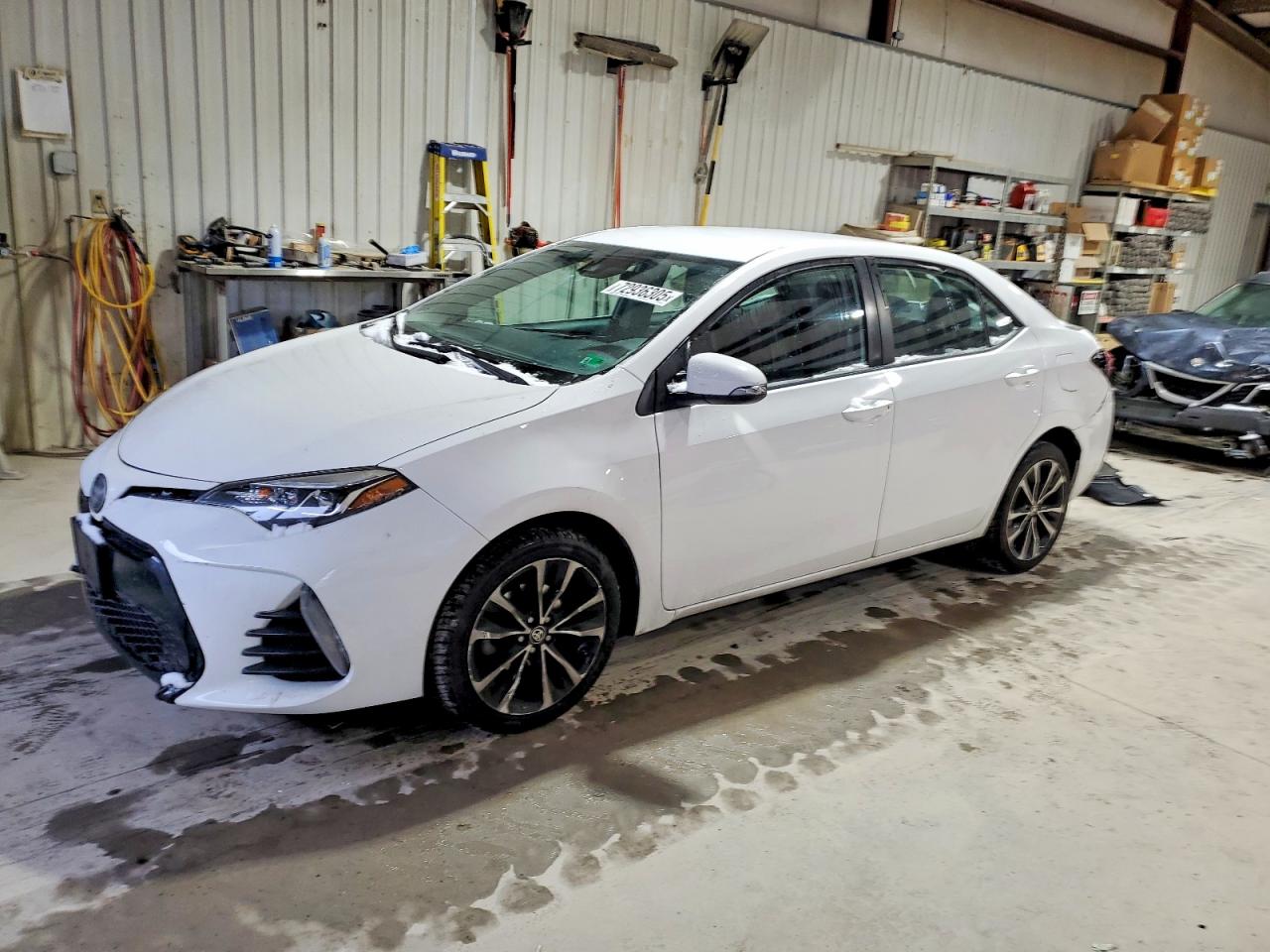 2019 Toyota Corolla LE, VIN 2T1BURHE5KC161423 — Rear end