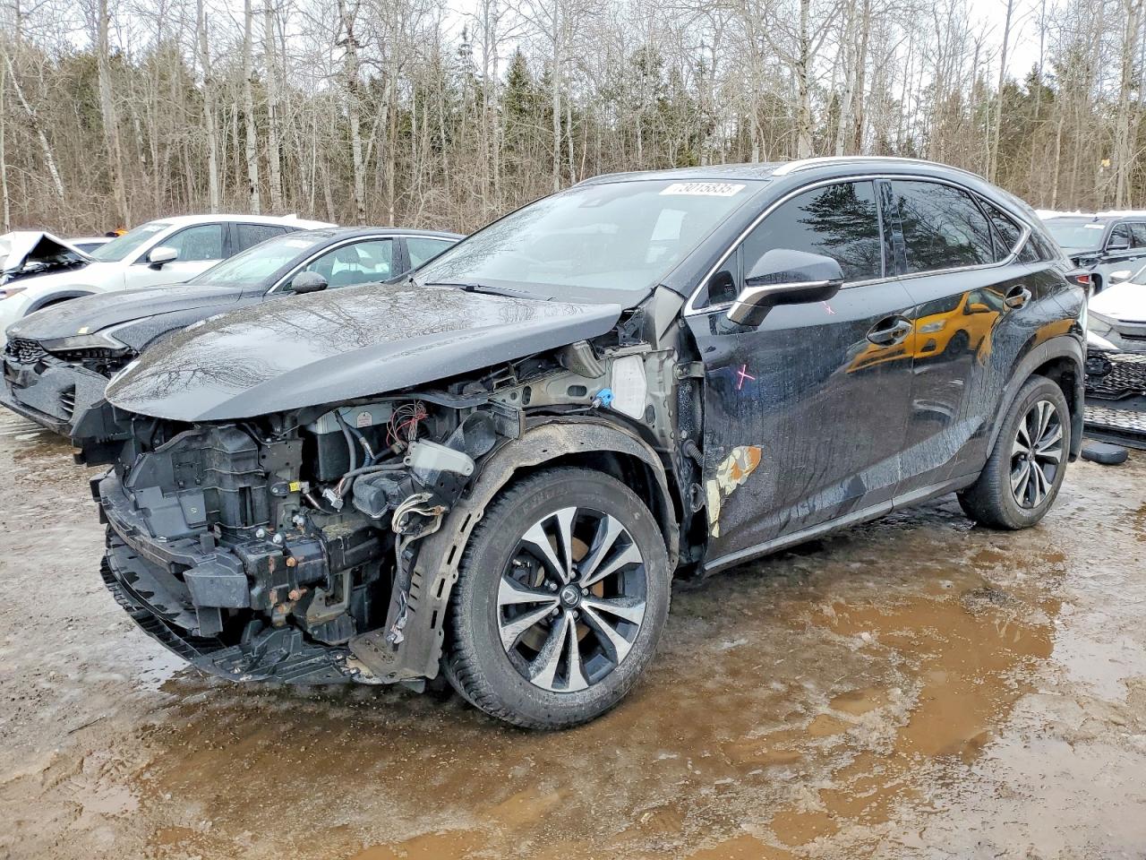 2018 Lexus NX 300 F Sport, VIN JTJBARBZ3J2155540 — Front end