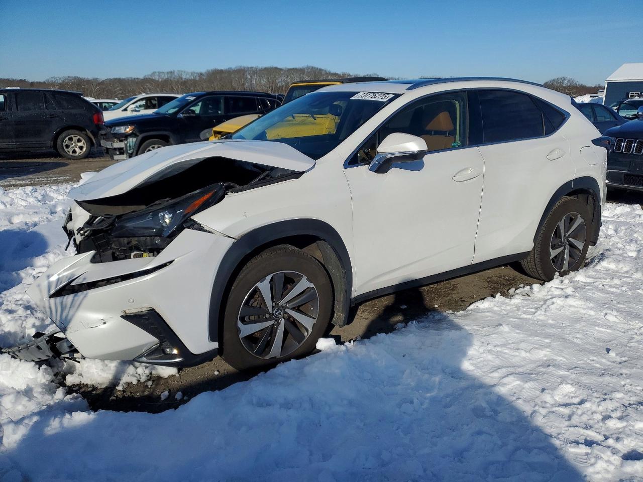 2018 Lexus NX 300 F Sport, VIN JTJBARBZ9J2159706 — Frame damage