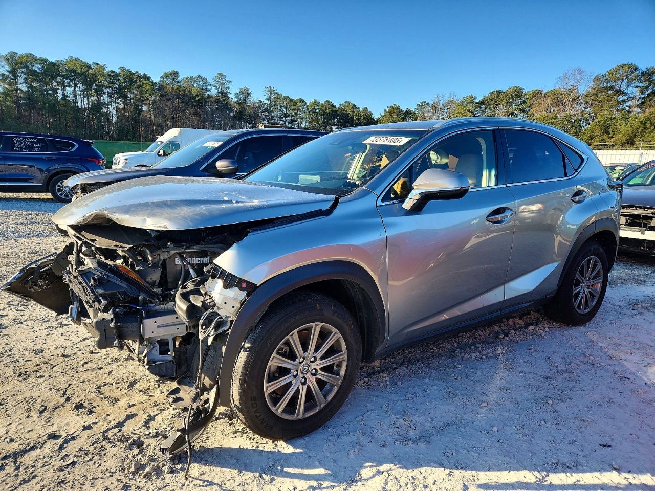 2018 Lexus NX 300, VIN JTJYARBZ1J2093419 — Front end