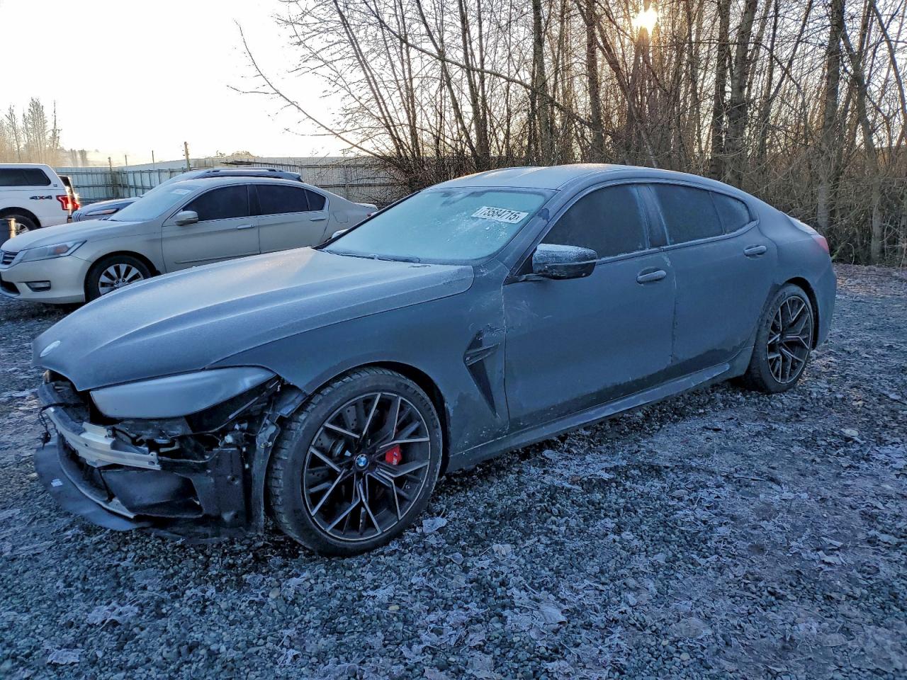 2024 BMW M8 Competition, VIN WBSGV0C07RCR42997 — Перед