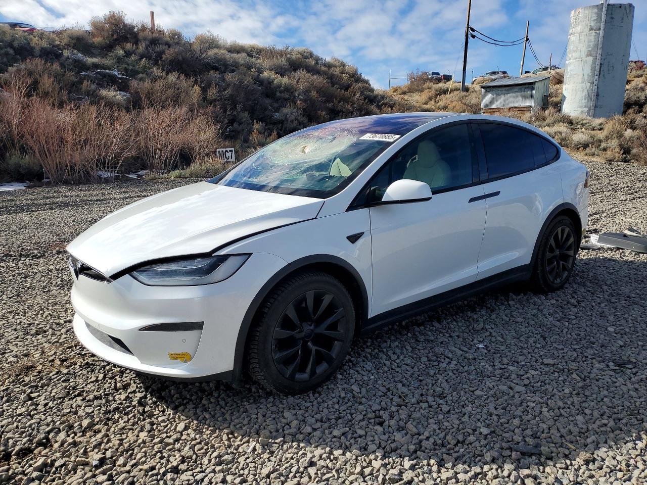 2021 Tesla Model X Long Range, VIN 5YJXCBE58MF326318 — Side