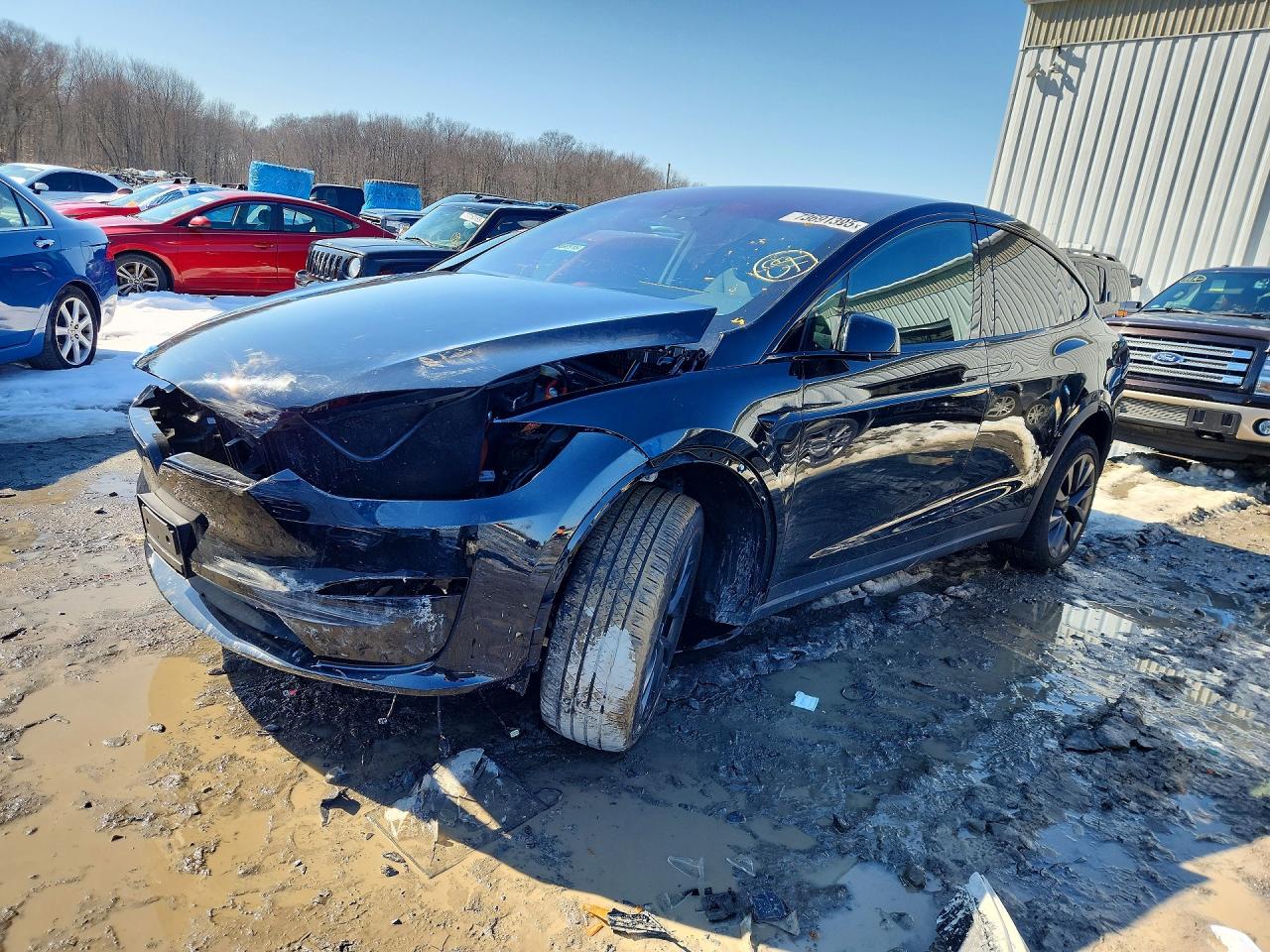 2024 Tesla Model X, VIN 7SAXCDE58RF440826 — Front end