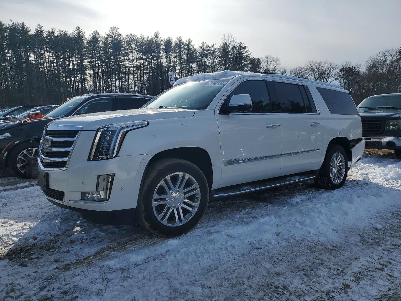 2017 Cadillac Escalade ESV, VIN 1GYS4GKJ4HR369263 — Rear end