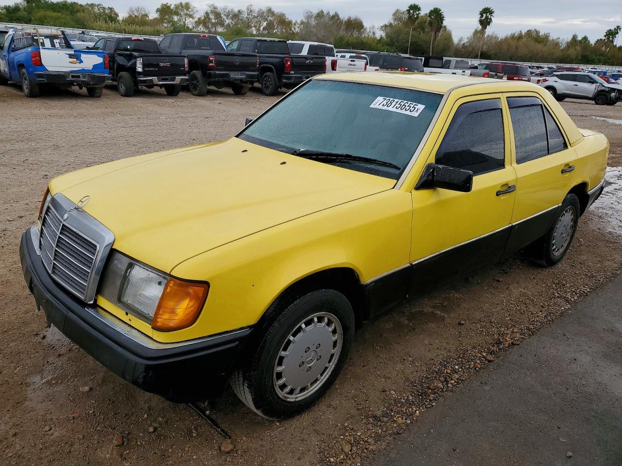 1993 Mercedes-Benz 300, VIN WDBEB28E4PB972550 — Minor dents and scratches