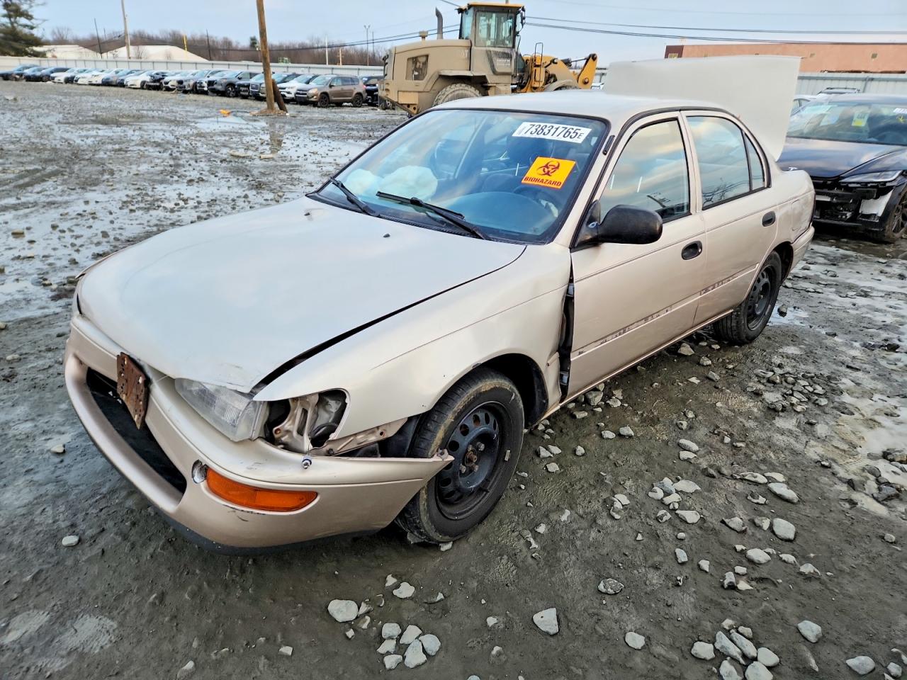 1995 Toyota Corolla, VIN 1NXAE04B4SZ253606 — Rear end
