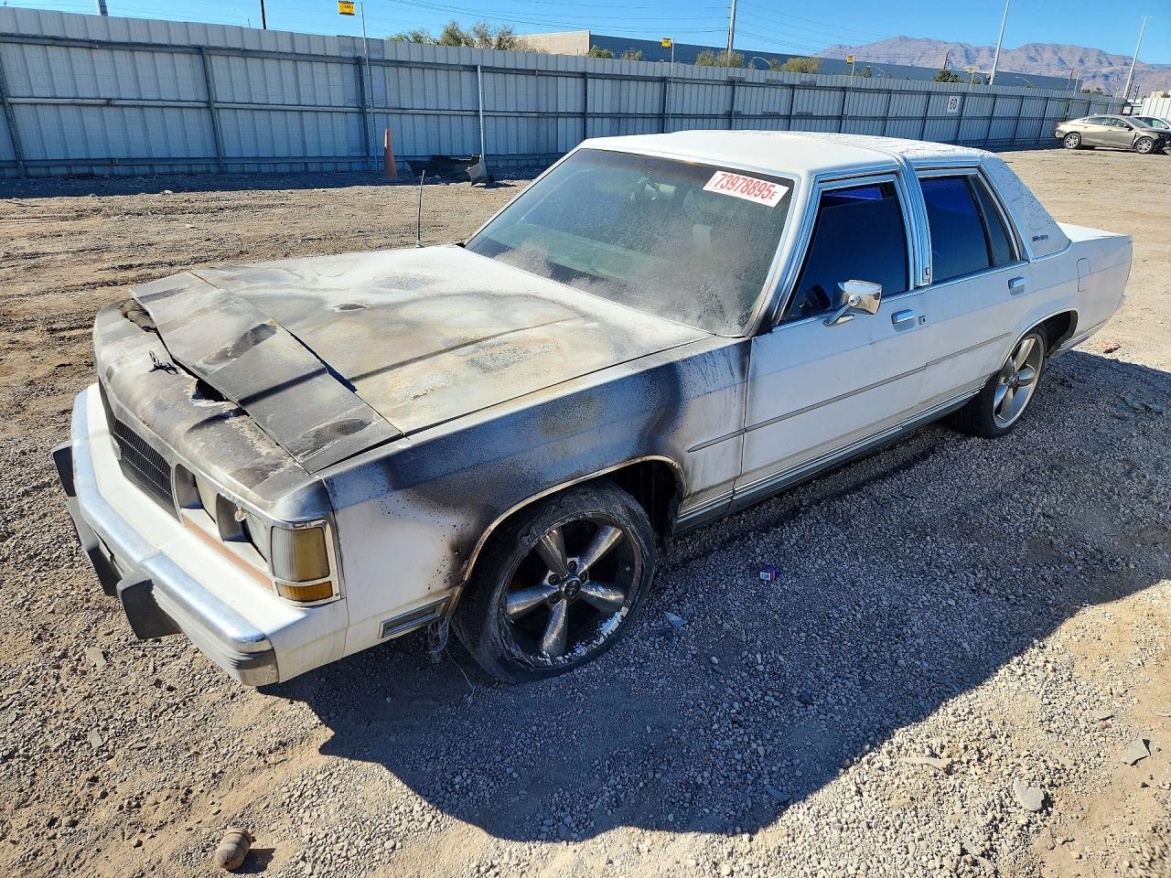 1989 Ford Crown Victoria, VIN 152224 — Front end