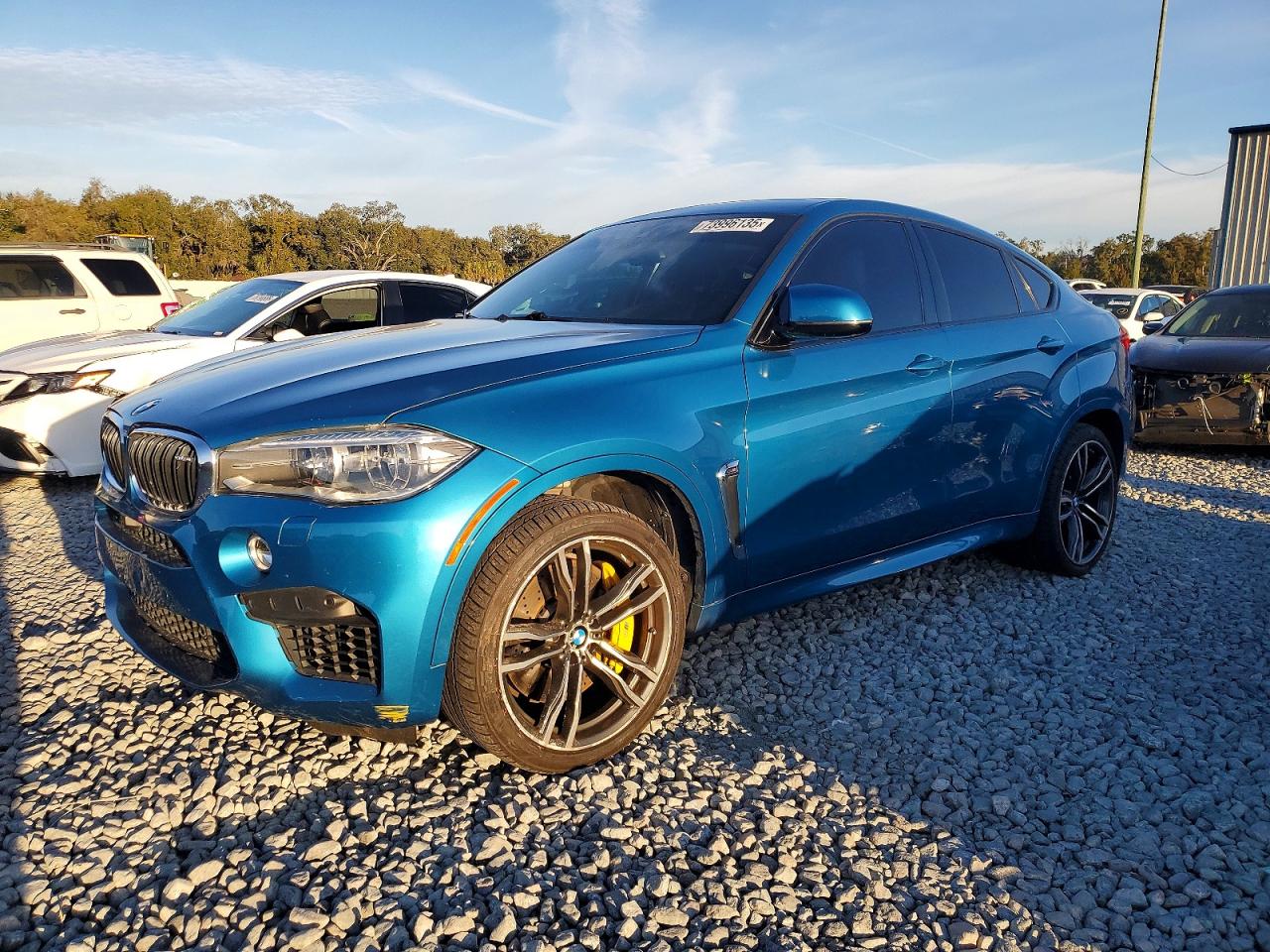 2017 BMW X6 M, VIN 5YMKW8C31H0U71833 — Side