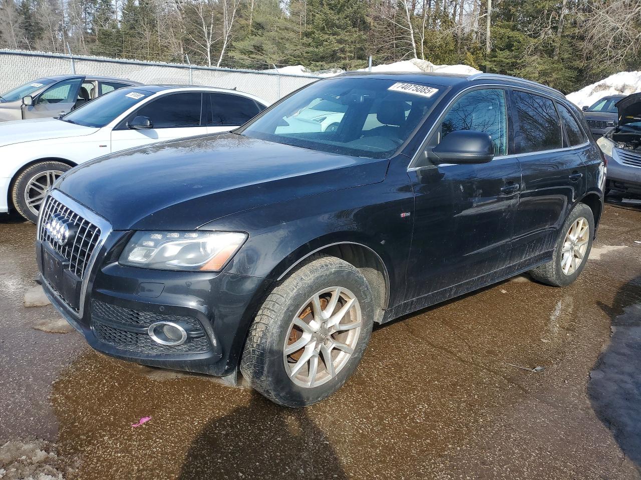 2011 Audi Q5, VIN WA1MKCFP6BA073981 — Rear end