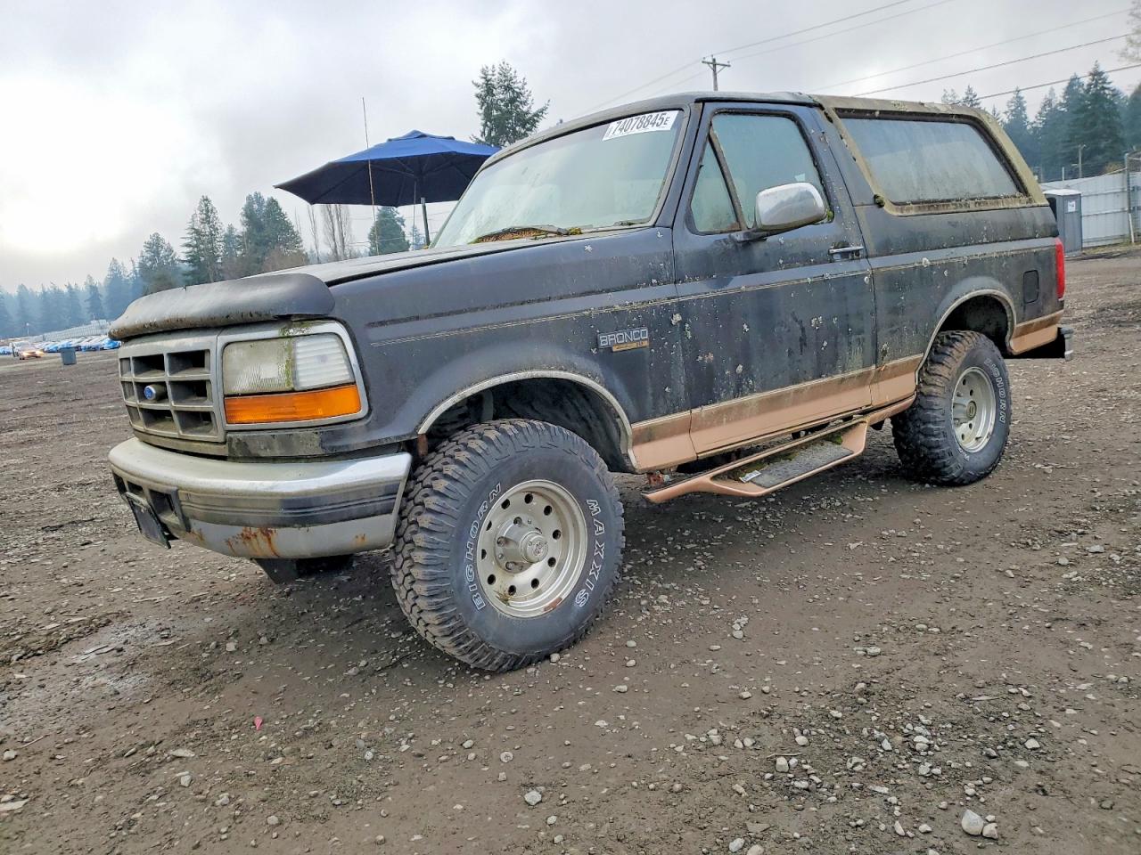 1995 Ford Bronco Custom, VIN 1FMEU15H7SLA26428 — Side