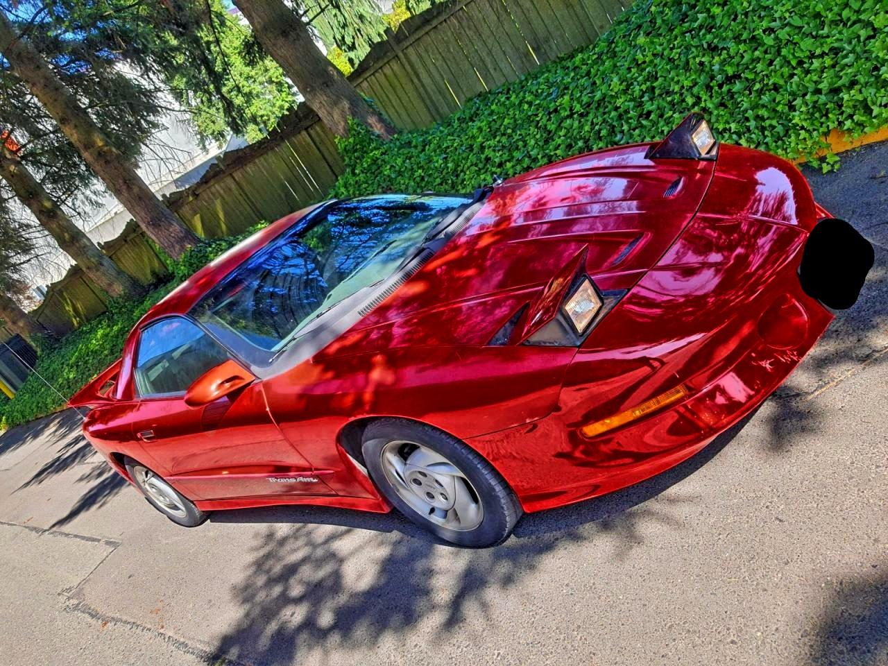 1993 Pontiac Firebird Formula, VIN 2G2FV22P4P2206209 — Обычный износ
